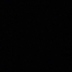 Meet your Posher, Noelani